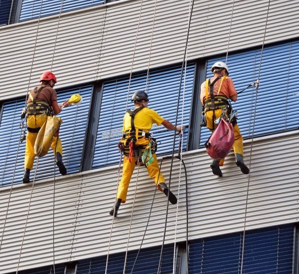 Maintenance Division
